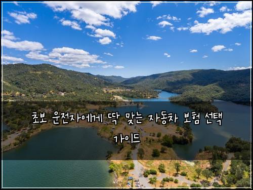 초보 운전자에게 딱 맞는 자동차 보험 선택 가이드