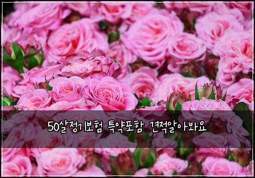 50์ด์ ๊ธฐ๋ณดํ ํน์ฝํฌํจ ๊ฒฌ์ ์์๋ด์