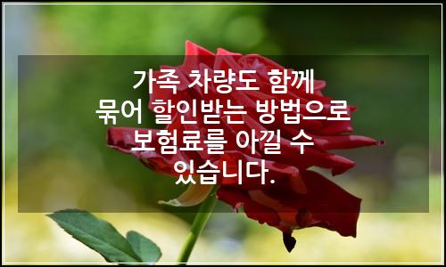 오늘의 이미지