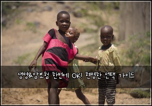 생명&암보험 한번에 OK! 현명한 선택 가이드