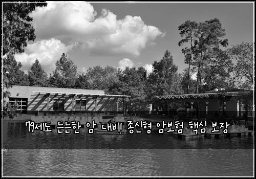 79세도 든든한 암 대비! 종신형 암보험 핵심 보장