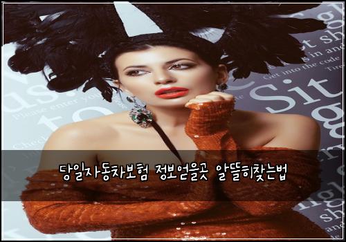 당일자동차보험 정보얻을곳  알뜰히찾는법