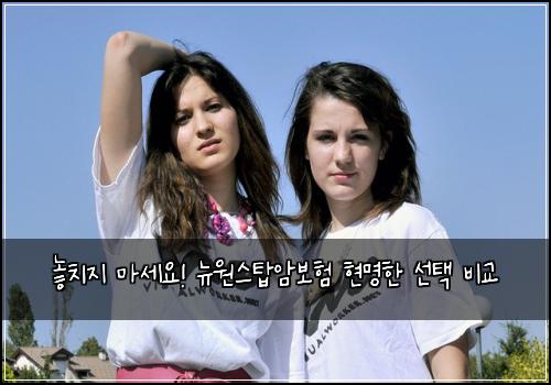  놓치지 마세요! 뉴원스탑암보험 현명한 선택 비교