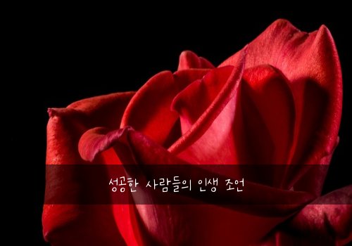 성공한 사람들의 인생 조언