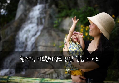 원더카, 비보험차량도 안심! 꼼꼼 가이드