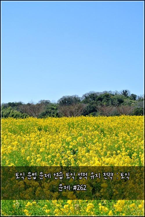 토익 문법 문제 연습 토익 성적 유지 전략 : 토익 문제 #262