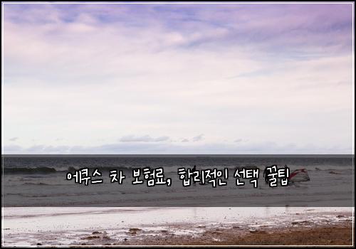 에쿠스 차 보험료, 합리적인 선택 꿀팁