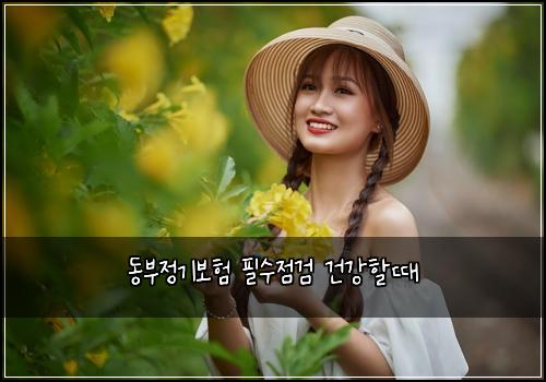 동부정기보험 필수점검  건강할때