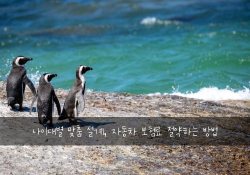  나이대별 맞춤 설계, 자동차 보험료 절약하는 방법