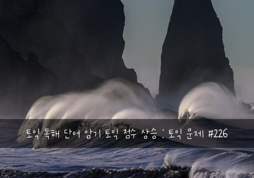 토익 독해 단어 암기 토익 점수 상승 : 토익 문제 #226