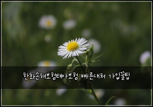 ํํ์ํด๋ณดํํ์๋ณดํ ๋น ๋ฅธ๋์ฒ ๊ฐ์
๊ฟํ