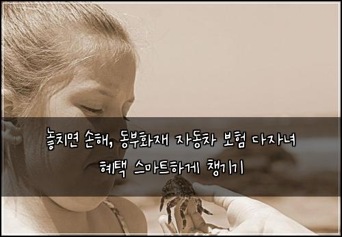  놓치면 손해, 동부화재 자동차 보험 다자녀 혜택 스마트하게 챙기기