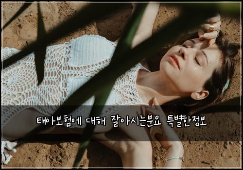 태아보험에 대해 잘아시는분요 특별한정보