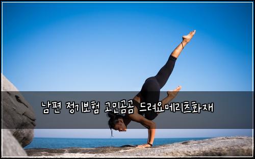 남편 정기보험 고민곰곰  드려요메리츠화재