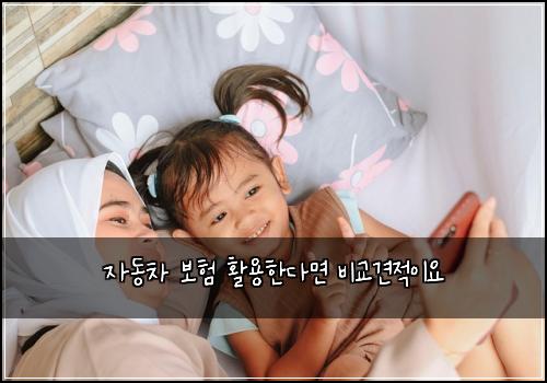 ์๋์ฐจ ๋ณดํ ํ์ฉํ๋ค๋ฉด ๋น๊ต๊ฒฌ์ ์ด์