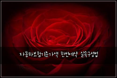 자동차보험기준가액 한번에샥 실속구성법