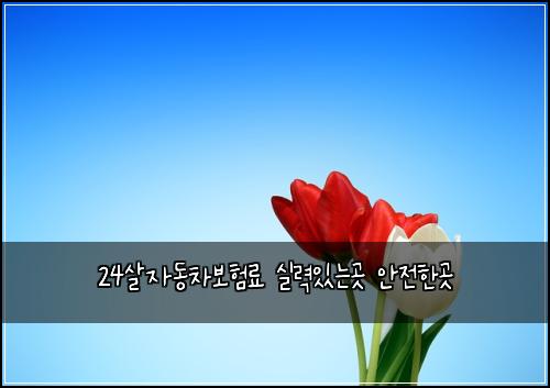 24์ด์๋์ฐจ๋ณดํ๋ฃ ์ค๋ ฅ์๋๊ณณ ์์ ํ๊ณณ