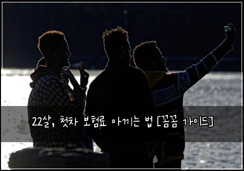 22살, 첫차 보험료 아끼는 법 [꼼꼼 가이드]