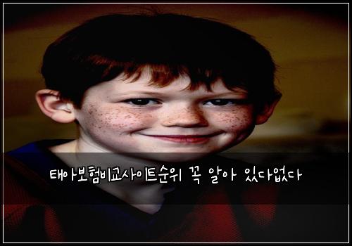 태아보험비교사이트순위 꼭 알아 있다없다