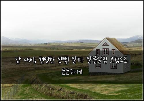 암 대비, 현명한 선택! 알파 알뜰살림 보험으로 든든하게
