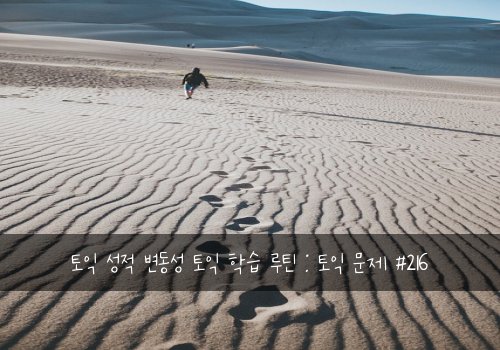 토익 성적 변동성 토익 학습 루틴 : 토익 문제 #216