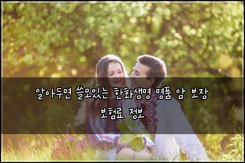  알아두면 쓸모있는 한화생명 명품 암 보장 보험료 정보
