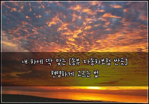  내 차에 딱 맞는 [동부 자동차보험 싼곳] 현명하게 고르는 법