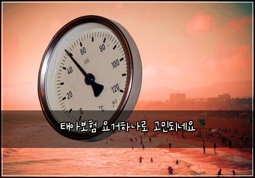 태아보험 요거하나로  고민되네요