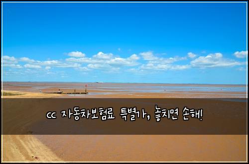 cc 자동차보험료 특별가, 놓치면 손해!