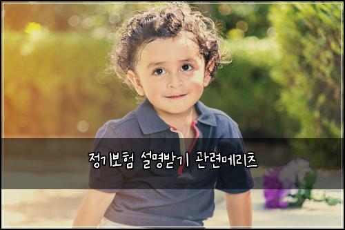 정기보험 설명받기  관련메리츠
