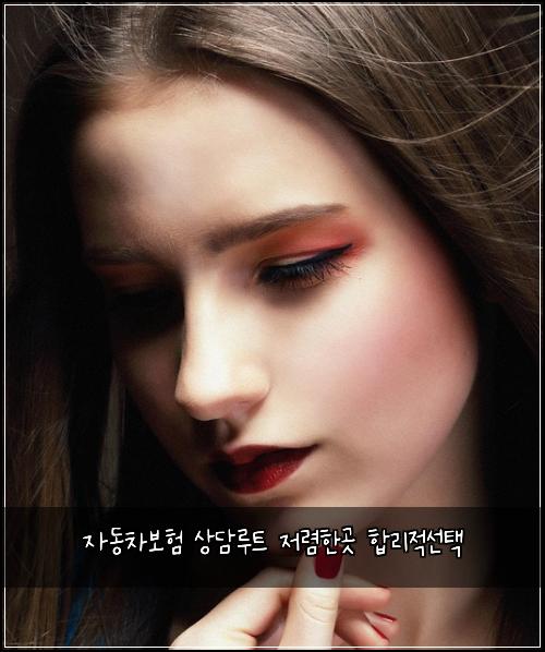 자동차보험 상담루트  저렴한곳 합리적선택