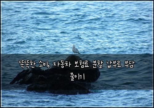  똑똑한 소비, 자동차 보험료 분할 납부로 부담 줄이기