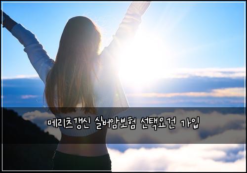๋ฉ๋ฆฌ์ธ ๊ฐฑ์ ์ค๋ฒ์๋ณดํ ์ ํ์๊ฑด ๊ฐ์