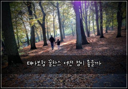 태아보험 꿀찬스  어떤 점이 좋을까