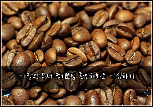가장의 부재 정기보험 확인해봐요  가입하기
