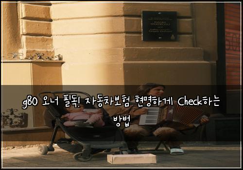 g80 오너 필독! 자동차보험 현명하게 Check하는 방법