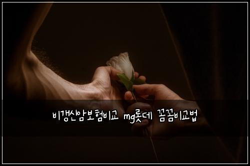 비갱신암보험비교 mg롯데 꼼꼼비교법