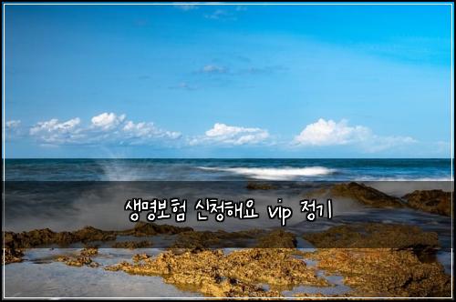 ์๋ช
๋ณดํ ์ ์ฒญํด์ vip ์ ๊ธฐ