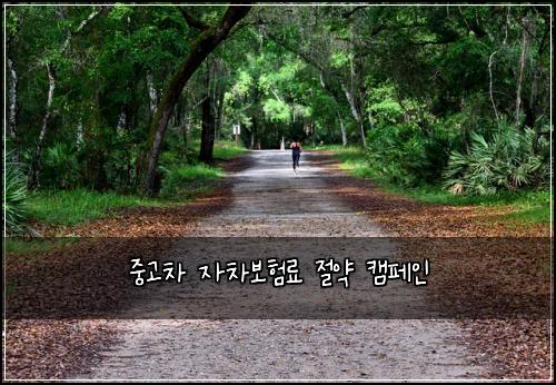 중고차 자차보험료 절약 캠페인