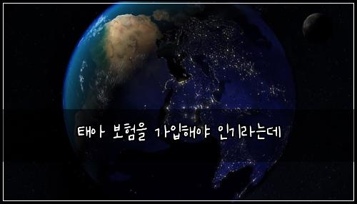 태아 보험을 가입해야 인기라는데