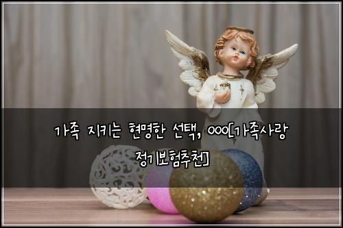 가족 지키는 현명한 선택, ㅇㅇㅇ[가족사랑 정기보험추천]