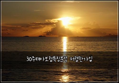 30μ£Όνμ보ννΉμ§λΆμ μ λ ΄νκ°μ