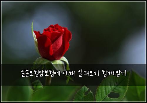 ์ค์๋ณดํ์๋ณดํ์ ๋ํด ์ดํด๋ณด๊ธฐ ํจ๊ป๋ฐ๊ธฐ