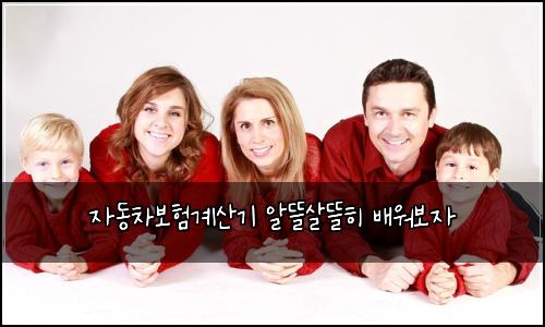 자동차보험계산기 알뜰살뜰히 배워보자