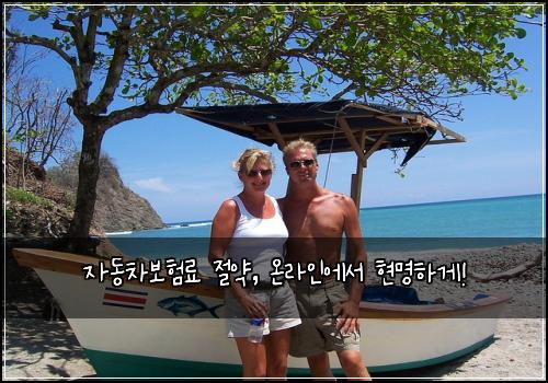 자동차보험료 절약, 온라인에서 현명하게!