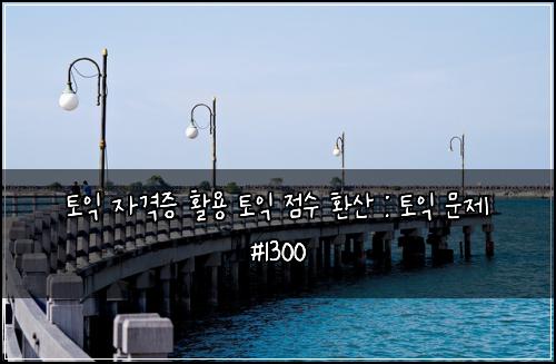 토익 자격증 활용 토익 점수 환산 : 토익 문제 #1300