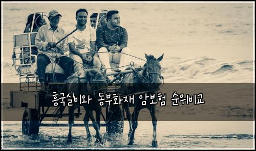 ํฅ๊ตญ์ค๋น์ ๋๋ถํ์ฌ ์๋ณดํ ์์๋น๊ต