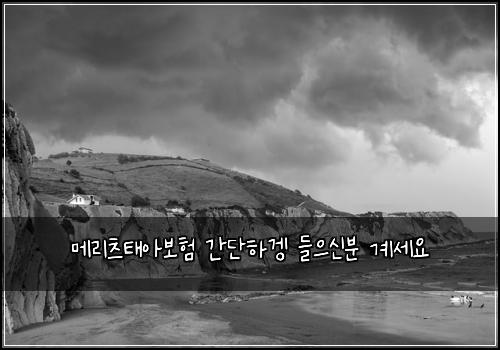 λ©λ¦¬μΈ νμ보ν κ°λ¨ν겑 λ€μΌμ λΆ κ³μΈμ