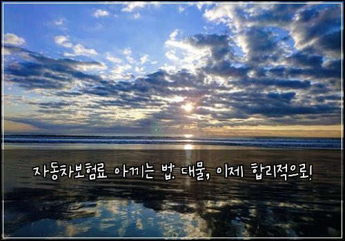 자동차보험료 아끼는 법: 대물, 이제 합리적으로!
