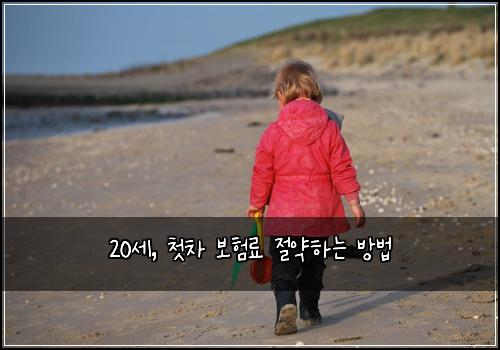 20세, 첫차 보험료 절약하는 방법